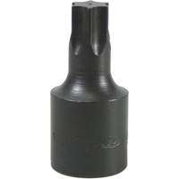 Douille &agrave; embout, Torx, T-60, Prise 1/2" Helyx Safety & Industrial Supplies