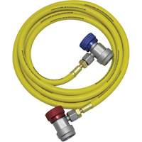 R134a A/C System Flush Hose Assembly Helyx Safety & Industrial Supplies