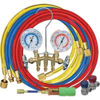 Jeu de manom&egrave;tres collecteurs avec coupleurs manuels et mini-injecteur de colorant Helyx Safety & Industrial Supplies