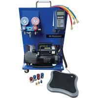 Poste de recharge &eacute;lectronique portable double &agrave; 1 phase R134A/R1234Yf Helyx Safety & Industrial Supplies