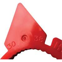 Indicateur d'&eacute;crous de tailles multiples desserr&eacute;s HexChex Helyx Safety & Industrial Supplies