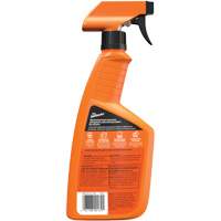Multi-Purpose Auto Cleaner, 16 oz./473 ml, Trigger Bottle Helyx Safety & Industrial Supplies