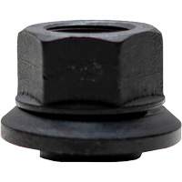 &eacute;crous &agrave; jupe enduits de graphite pour roues &agrave; moyeu-guide 100 mcx Helyx Safety & Industrial Supplies