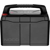 Batterie lithium-ion LiFePO4 &agrave; double usage de groupe 31, 120 Ah Helyx Safety & Industrial Supplies