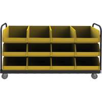 R&acirc;telier mobile, &agrave; deux c&ocirc;t&eacute;s, 12 bacs, 78" la x 18" p x 47" h Helyx Safety & Industrial Supplies