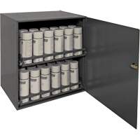 Armoire de rangement pour contenants a&eacute;rosol, Acier, 21-7/8" h x 15-15/16" la x 20-5/16" P, Gris Helyx Safety & Industrial Supplies