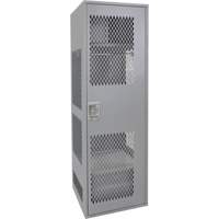 Gear Locker with Door, Steel, 24" W x 24" D x 72" H, Grey Helyx Safety & Industrial Supplies