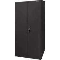 Armoire d'entreposage, Acier, 4 Tablettes, 66" h x 30" la x 15" P, Noir Helyx Safety & Industrial Supplies