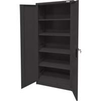 Armoire d'entreposage, Acier, 4 Tablettes, 66" h x 30" la x 15" P, Noir Helyx Safety & Industrial Supplies