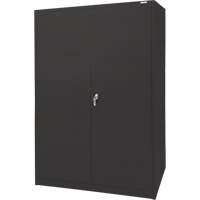Armoire d'entreposage, Acier, 4 Tablettes, 78" h x 48" la x 24" P, Noir Helyx Safety & Industrial Supplies