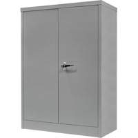 Armoire de rangement &agrave; hauteur de comptoir, Acier, 2 Tablettes, 42" h x 30" la x 15" P, Gris Helyx Safety & Industrial Supplies