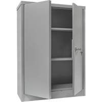Armoire de rangement &agrave; hauteur de comptoir, Acier, 2 Tablettes, 42" h x 30" la x 15" P, Gris Helyx Safety & Industrial Supplies