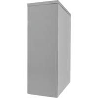 Armoire de rangement &agrave; hauteur de comptoir, Acier, 2 Tablettes, 42" h x 30" la x 15" P, Gris Helyx Safety & Industrial Supplies