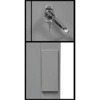 Armoire de rangement &agrave; hauteur de comptoir, Acier, 2 Tablettes, 42" h x 30" la x 15" P, Gris Helyx Safety & Industrial Supplies