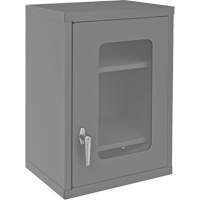 Wall-Mountable Storage Cabinet with Clearview Doors, 26-15/16" H x 18-1/8" W x 13-11/16" D, 2 Shelves, Steel, Grey Helyx Safety & Industrial Supplies