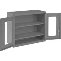 Wall-Mountable Storage Cabinet with Clearview Doors, 26-15/16" H x 29-7/8" W x 13-11/16" D, 2 Shelves, Steel, Grey Helyx Safety & Industrial Supplies