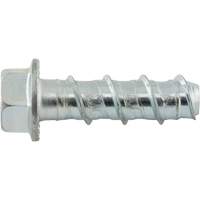 Boulons Wedge Bolts, Acier au carbone, 1/2" x 2" Helyx Safety & Industrial Supplies