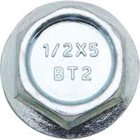 Boulons Wedge Bolts, Acier au carbone, 1/2" x 2" Helyx Safety & Industrial Supplies