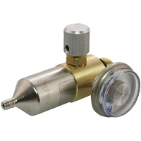 R&eacute;gulateur de pression de gaz Helyx Safety & Industrial Supplies