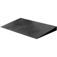 VN Series Economical Floor Scales - Ramp Helyx Safety & Industrial Supplies