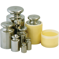 Poids individuels pour tests de balance Helyx Safety & Industrial Supplies