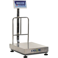 Balance &agrave; plateforme et d'&eacute;tabli Cyclone 300, Capacit&eacute; de 600 lb / 300 kg, 17-3/4" lo x 23-3/5" la Helyx Safety & Industrial Supplies