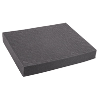 Replacement Foam for REED R8888 Helyx Safety & Industrial Supplies