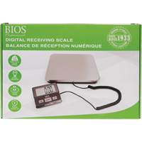Balance de r&eacute;ception num&eacute;rique, Capacit&eacute; 220 lb, Graduations 1 lb Helyx Safety & Industrial Supplies
