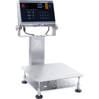 Balance d&eacute;tabli lavable 6000 Defender, Capacit&eacute; de 25 lb, 11-4/5" lo x 11-4/5" la Helyx Safety & Industrial Supplies