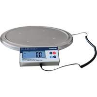 Balance pour tonneau, Capacit&eacute; de 200 kg Helyx Safety & Industrial Supplies