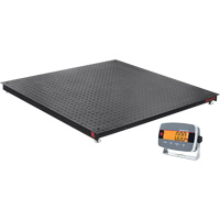 Defender 3000 Floor Scale, 5000 lbs. Capacity, 4' L x 4' W Helyx Safety & Industrial Supplies