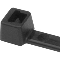 Attaches de c&acirc;ble PA66, Longueur 5-1/2", R&eacute;sistance &agrave; la traction 18 lb, Noir Helyx Safety & Industrial Supplies