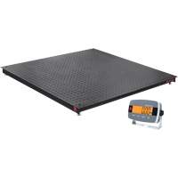 Balance de plancher DEFENDER 3000, Capacit&eacute; de 2500 lb, 48" la x 48" lo Helyx Safety & Industrial Supplies