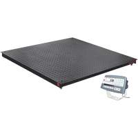 Balance de plancher DEFENDER 5000, Capacit&eacute; de 2500 lb, 48" la x 48" lo Helyx Safety & Industrial Supplies