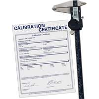 Pied &agrave; coulisse num&eacute;rique avec certificat de traçabilit&eacute;, R&eacute;solution de 0,0005" (0,01 mm), 0" - 12" (0 mm - 300 mm) gamme de mesure Helyx Safety & Industrial Supplies