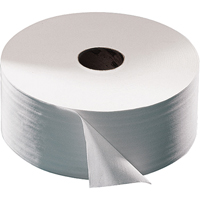 Papier hygi&eacute;nique Advanced, Rouleau G&eacute;ant, 2 Pli, Longueur 751', Blanc Helyx Safety & Industrial Supplies