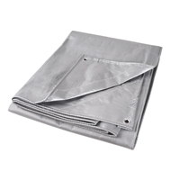 B&acirc;che, Super robuste, Argent, 10' x 8' x 12 mils Helyx Safety & Industrial Supplies