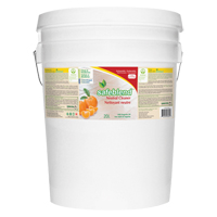 Neutral Cleaner, 20 L, Pail Helyx Safety & Industrial Supplies
