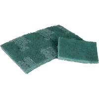 Scrubber Pad, 3" L x 4-1/2" W Helyx Safety & Industrial Supplies