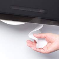 Cored JRT Combo Unit Toilet Paper Dispenser, Multiple Roll Capacity Helyx Safety & Industrial Supplies