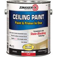 Peinture et appr&ecirc;t pour plafond en un seul produit, Blanc, Tr&egrave;s mat, 3,78 L, Gallon Helyx Safety & Industrial Supplies