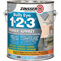 Appr&ecirc;t &agrave; base d'eau Bulls Eye 1-2-3, 3,78 L, Gallon, Gris Helyx Safety & Industrial Supplies
