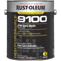 9100 System DTM Epoxy Mastic Fast Cure Activator, Gallon Helyx Safety & Industrial Supplies