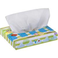 Papiers-mouchoirs pour enfants de Kleenex, 2 pli, 8,4" lo x 5,5" la, 40 feuilles/boîte Helyx Safety & Industrial Supplies