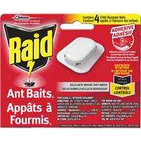 Insect Traps