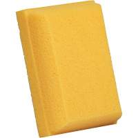 &eacute;ponge &agrave; coulis, Coulis, 5" la x 7" l Helyx Safety & Industrial Supplies