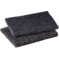 Tampon de polissage pour plaque de cuisson Scotch-Brite, 4" lo x 5" la Helyx Safety & Industrial Supplies