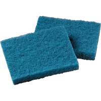 Non-Stick Cookware Cleaning Pad, Scrubbing, 5-1/4" W x 4" L Helyx Safety & Industrial Supplies