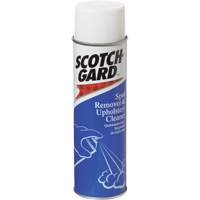D&eacute;tachant pour tapis et nettoyant pour meubles rembourr&eacute;s, 17 oz, Canette a&eacute;rosol Helyx Safety & Industrial Supplies