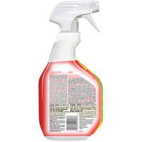Disinfecting Bio Stain & Odour Remover, 946 ml, Trigger Bottle Helyx Safety & Industrial Supplies